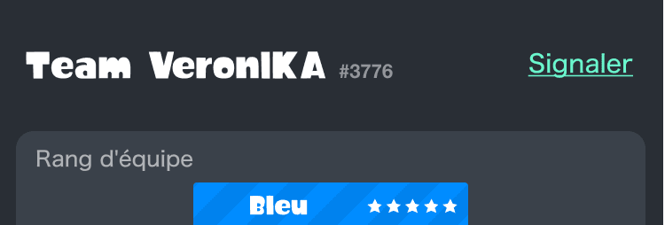 (Bouton « Signaler » en haut à droite de la page de l'équipe)