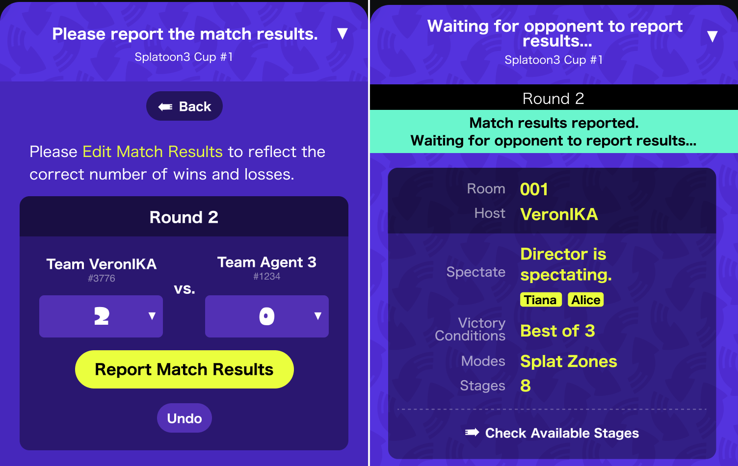 Screenshot of Edit Match Results.